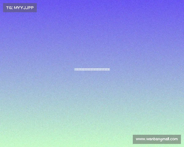 斯图加特与阿森纳就签下法比奥维埃拉展开谈判接触