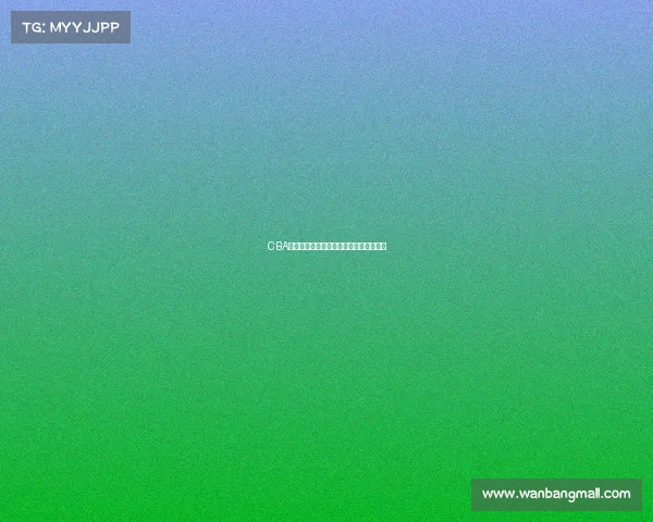 CBA联赛港澳台球员崛起助力篮球多元化发展