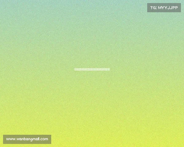 欧冠顶级球场探秘：欧洲足球圣地的魅力与历史之旅