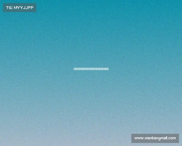 赛事意义深远：探索比赛背后的文化价值与社会影响